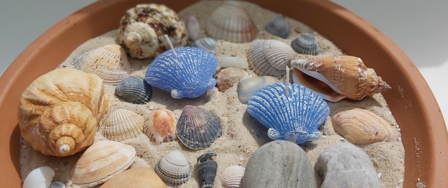 Schale mit Muscheln und Steinen im Sand