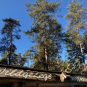 Eingang zum Wildgehege Veldensteiner Forst