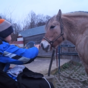 kleiner Junge streichelt ein gesatteltes Pferd