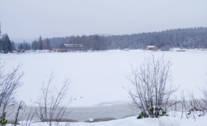 Blick auf einen zugefrorenen und verschneiten See