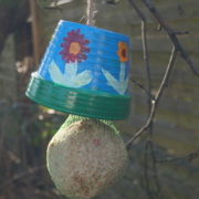 Meisenknoedel an einem Blumentopf mit einer Schnur am Baum befestigt
