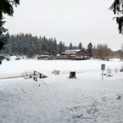 Blick auf eine verschneite Winterlandschaft mit Haus im Hintergrund