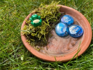 Schale mit Moos und einem Frosch und blauen Steinen