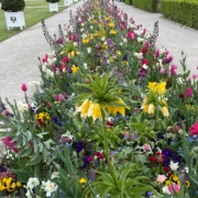 buntes Blumenbeet in einem Park