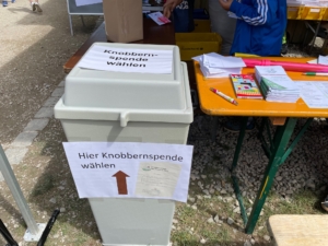 Wahlurne fuer Knobbernspende